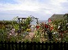 PICT3948.JPG